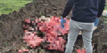 Tekirdağ’da 1 ton menşei belirsiz hayvansal ürün imha edildi