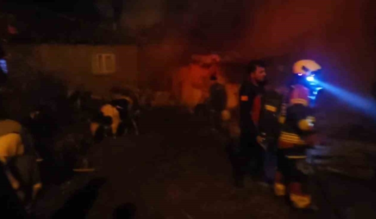 Sındırgı’da hayvan damı ve samanlıkta yangın