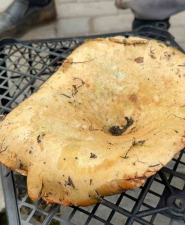 Yağmur yağdı, fiyatı 300 liradan 100 liraya düştü