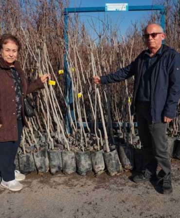 75 üreticiye 3 bin 600 fidan