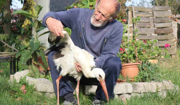 Annesinin yuvadan attığı leyleğe, mahalleli anne ve baba oldu