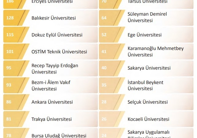 BUÜ, YÖK 2025 Genel Raporunda farkını ortaya koydu