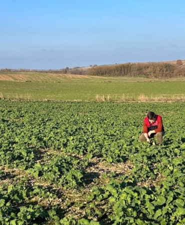 Kırklareli’nde kanola gelişimi inceleniyor