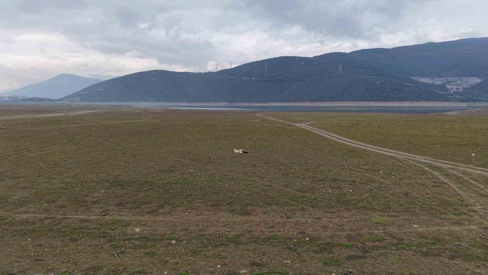 Bursa’da bir göl daha yok oluyor...