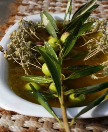 Oleolog Dr. Kıvrak: "Erken ve olgun hasat zeytinyağları farklı içeriklere sahiptir"