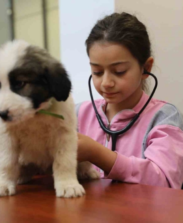 Minik veterinerler görev başında