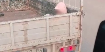 Soğuk havada yürek sızlatan yolculuk