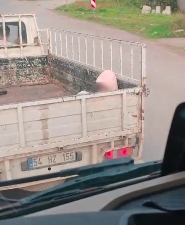 Soğuk havada yürek sızlatan yolculuk