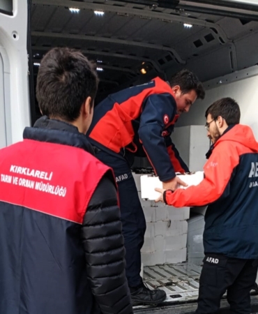 Küçük boyda avlanan 307 kasa istavrite el konuldu