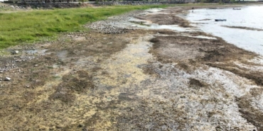 İznik Gölü kuruyor: Cargill’in yer altı sularından yılda 1 milyon metreküpten fazla su çektiği ileri sürülüyor