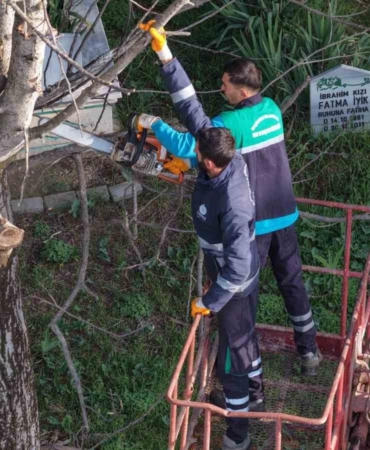 Başiskele’de budanan ağaç dalları ihtiyaç sahiplerine yakacak oluyor
