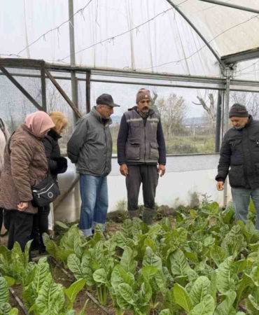 "Saygınlar Kulübü" üyeleri serada hasat yaptı