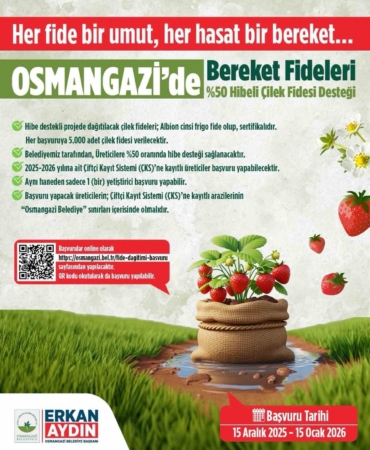 Osmangazi Belediyesi yüzde 50 hibeli çilek fidesi dağıtacak
