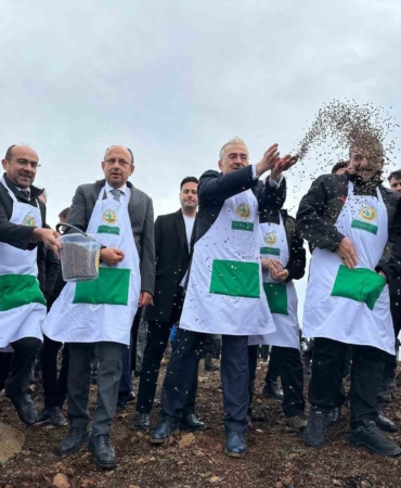 Harmancık’ta yanan 4 bin 256 hektar alan ağaçlandırılıyor