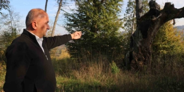 Maneviyat merkeziydi, otluk alana döndü: Mezarlıktan geriye çürümüş ağaç kaldı