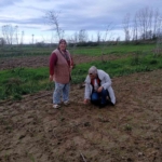 Babaeski’de sera ve sarımsak üretim alanlarında üretim şartları kontrol edildi