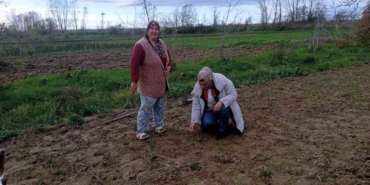 Babaeski’de sera ve sarımsak üretim alanlarında üretim şartları kontrol edildi