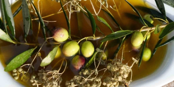 Kekik ve zeytinyağı, doğanın iki şifa kaynağı taşbaskıda bir araya geldi