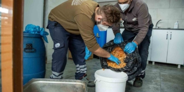 Esenyurt Belediyesi’nden israfı önleyen örnek uygulama