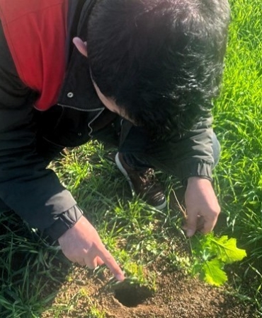 Kofçaz’da tarla faresine karşı etkin mücadele: Tarım arazilerinde fare tehdidi