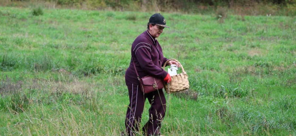 Doğaseverler Ormanya’nın zengin biyolojik çeşitliliğini keşfetti
