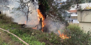 Çamlık alanda çıkan yangın büyümeden söndürüldü