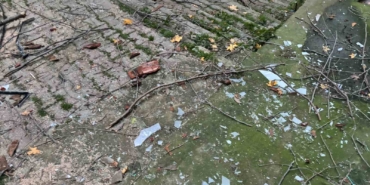 Beyoğlu’nda ağacın kırılan dalları binanın üzerine düştü