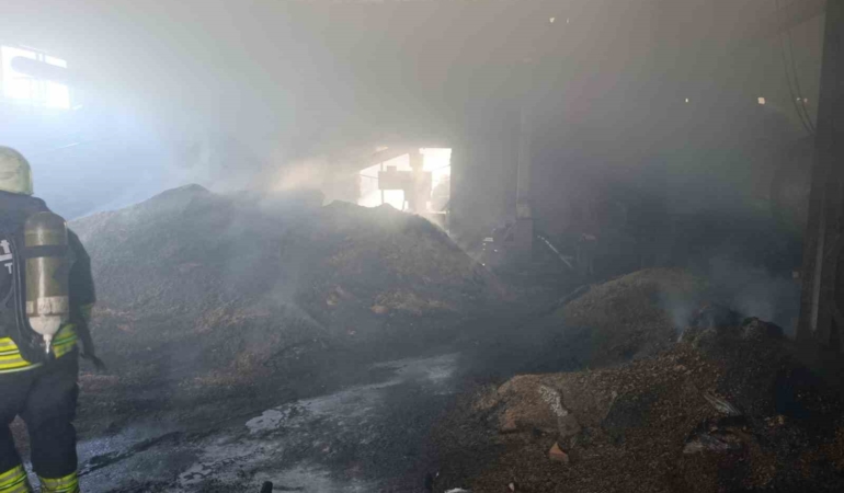 Vize’de palet fabrikasının deposunda yangın