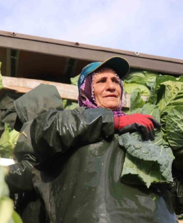 Hasadın yükünü kadınlar taşıyor: Yağmur, çamur demeden bin bir zorluklarla çalışıyorlar