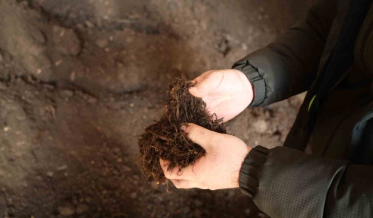 Torf üretimiyle yılda 50 milyon lira tasarruf sağlanıyor