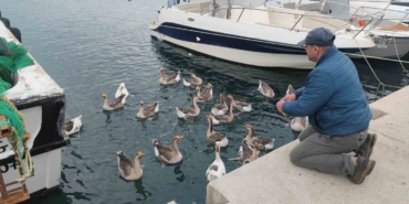 Şarköy’ün maskotu ’Vakvaklar’