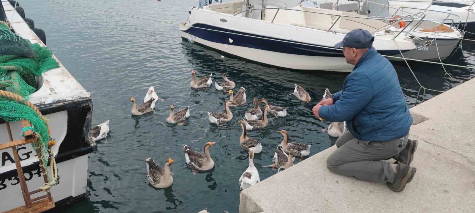 Şarköy’ün maskotu ’Vakvaklar’