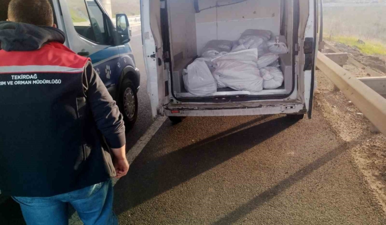 Tekirdağ’da 400 kilo menşei belirsiz kokoreç imha edildi