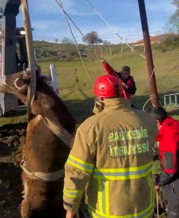 Balıkesir’de kuyuya düşen inek kurtarıldı