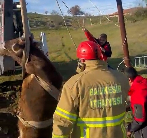 Balıkesir’de kuyuya düşen inek kurtarıldı