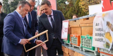 Bilecik’te bu yıl 126 bin 524 kilogram bal üretildi