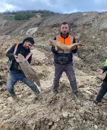 Arnavutköy’de İBB’nin döküm sahasına çevirdiği Mavi Göl’de balıklar can çekişiyor