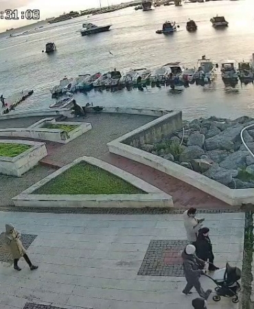 Pendik’te vicdanları sızlatan olay: Kediye tekme atıp denize fırlattı