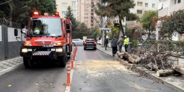 Kadıköy’de yola devrilen ağaç paniğe neden oldu