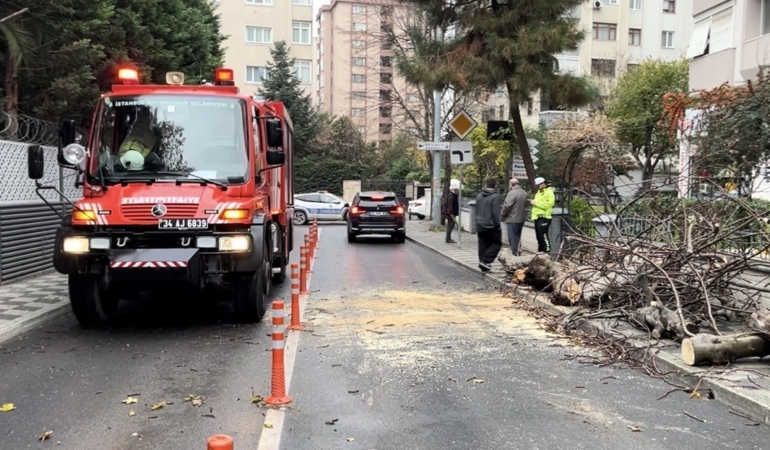 Kadıköy’de yola devrilen ağaç paniğe neden oldu