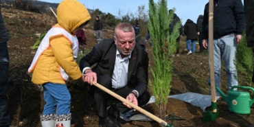 Karacabey’de yangın sonrası ilk fidanlar toprakla buluştu