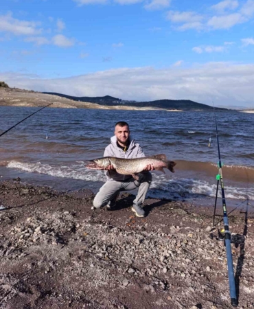 (Düzeltme) Sındırgı’da dev turna balığı yakalandı
