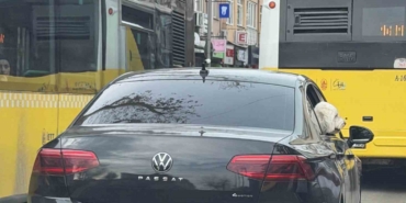 Üsküdar’da yeni başkan eski başkanın makam aracını köpeğine tahsis etti iddiası