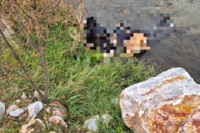 Trenin geçtiği köprüde hayatını kaybetti