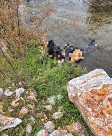 Trenin geçtiği köprüde hayatını kaybetti