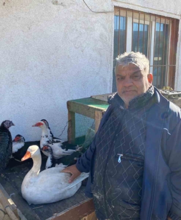 Hindi var, kaz var alıcı yok: Tezgâhlarda durgunluk