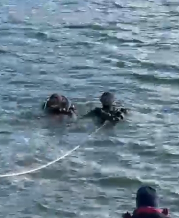 Kapıdağ’da kayıp Elif Kumal için aramalar genişletildi: Dalgıçlar su altında arama başlattı