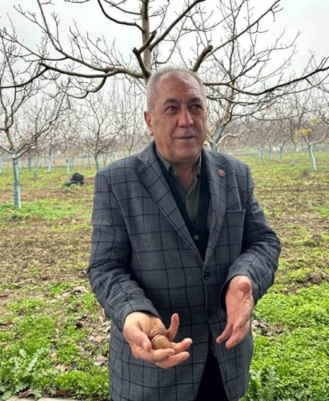 Cevizle yaşam şartları değişen köyde İstanbullular da bahçe kuruyor