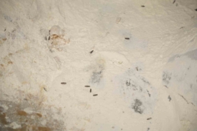 Yenişehir Belediyesi’nden YESAŞ’a hijyen cezası