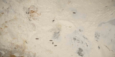 Yenişehir Belediyesi’nden YESAŞ’a hijyen cezası